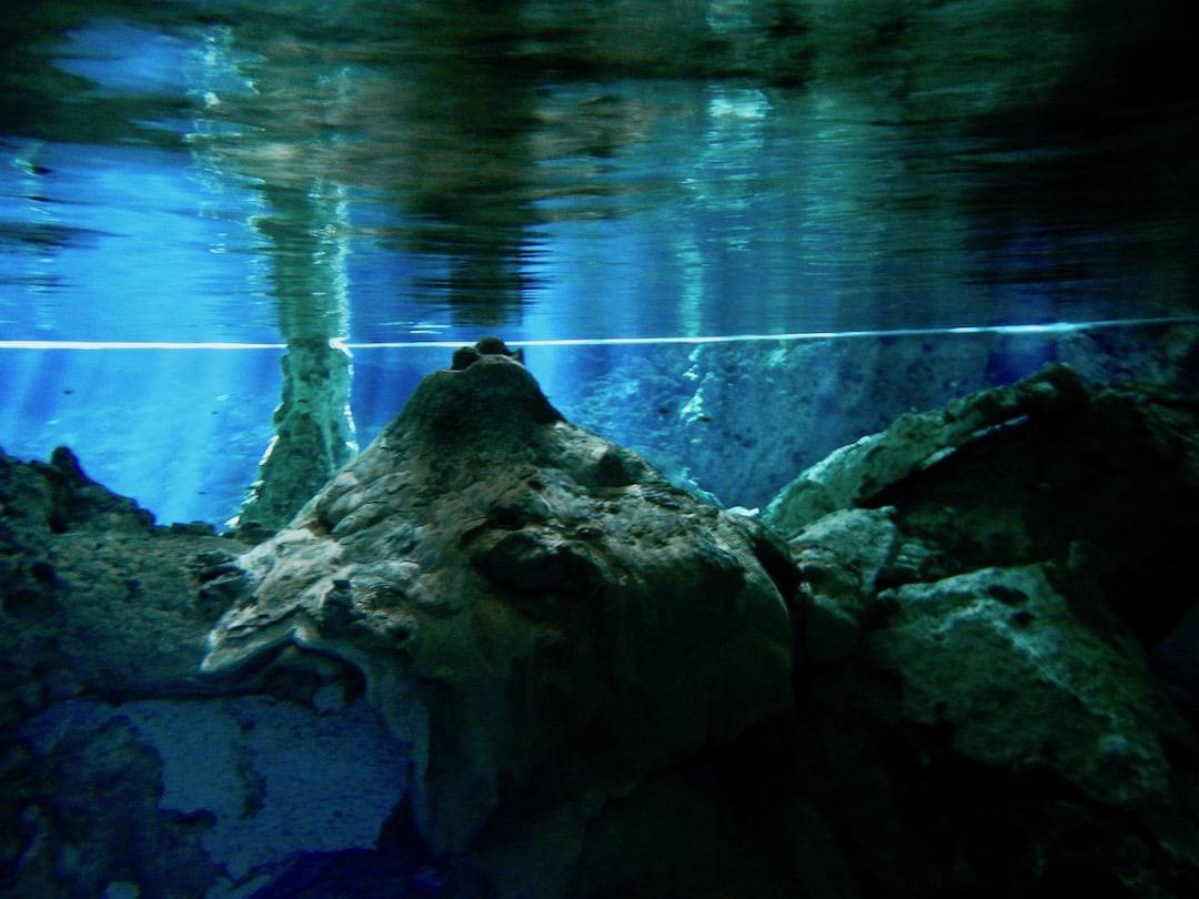 Cenote Dos Ojos 5 - Off Path Travels