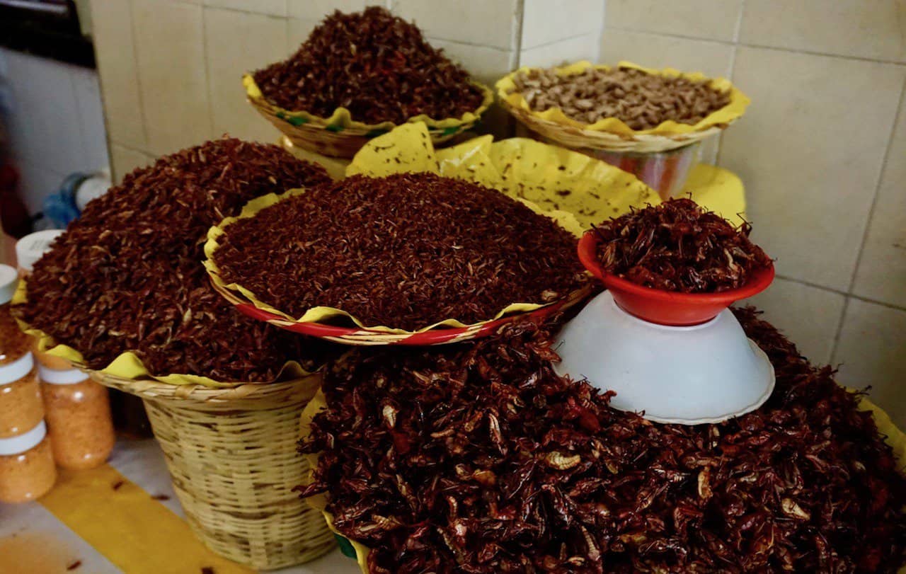 Chapulines Mercado 20 de Noviembre Oaxaca