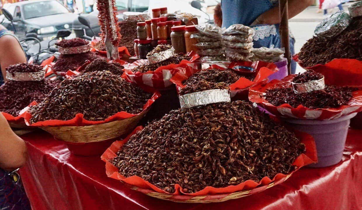 Chapulines in Oaxaca Market