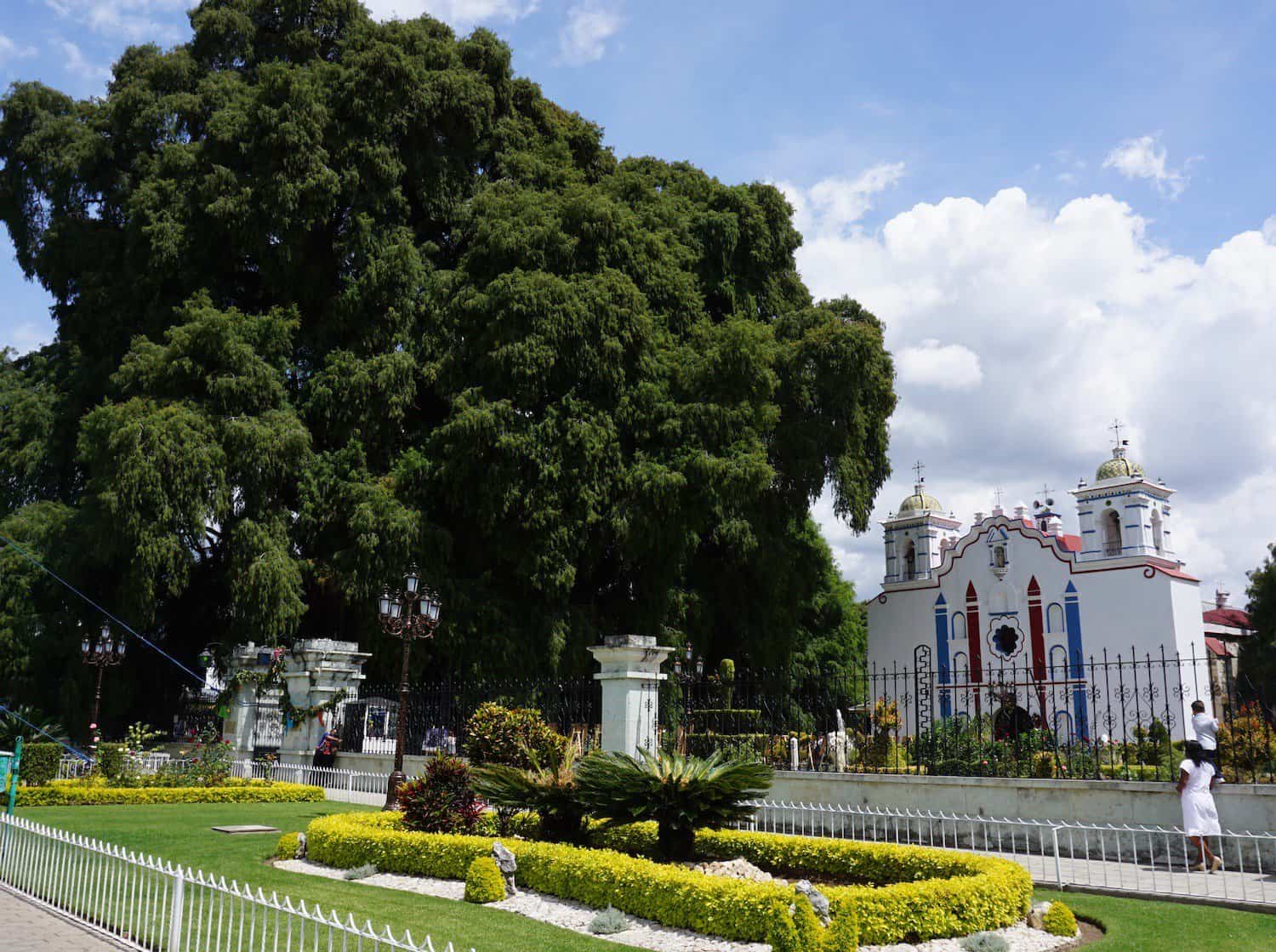 Arbol del Tule Church - Off Path Travels