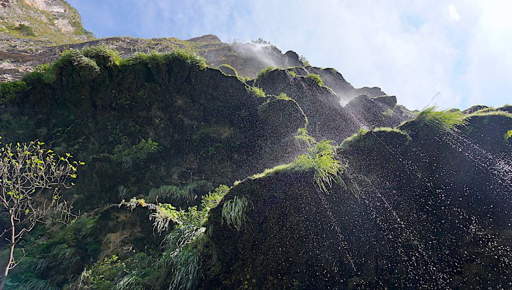 Underneath the Christmas Tree in Sumidero Canyon Chiapas, Mexico