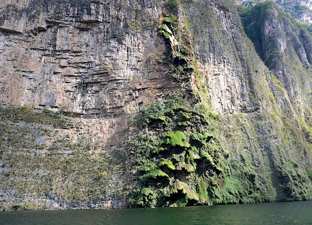 Christmas Tree at Canon del Sumidero