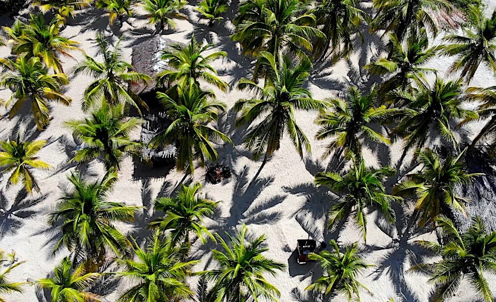 La Palapa de Dona Juanita de Sobrecarga