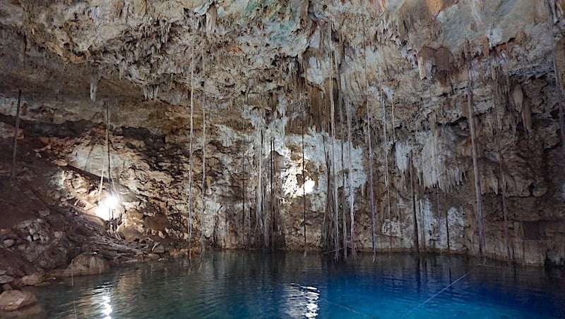 Les racines pendent au Cenote XKeken au Cenote Dzitnup