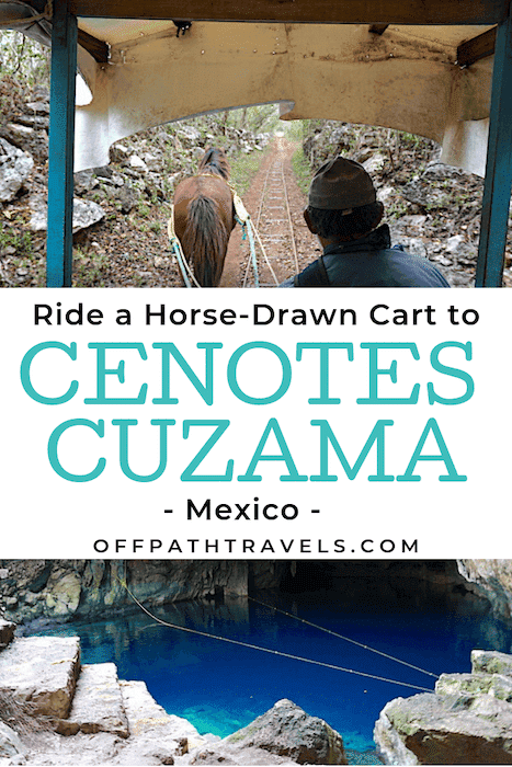 Ride a horse-drawn cart to 3 cenotes in Cuzama (near Merida) in Mexico.