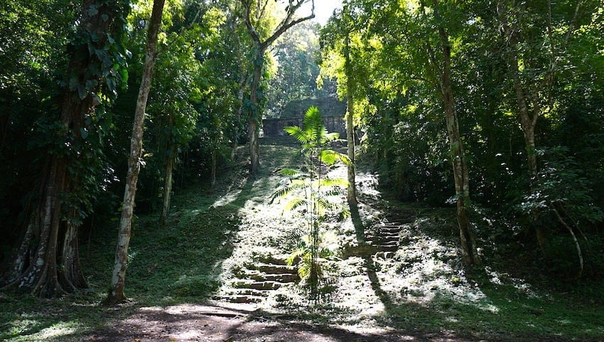 Yaxchilan Ruins in Chiapas
