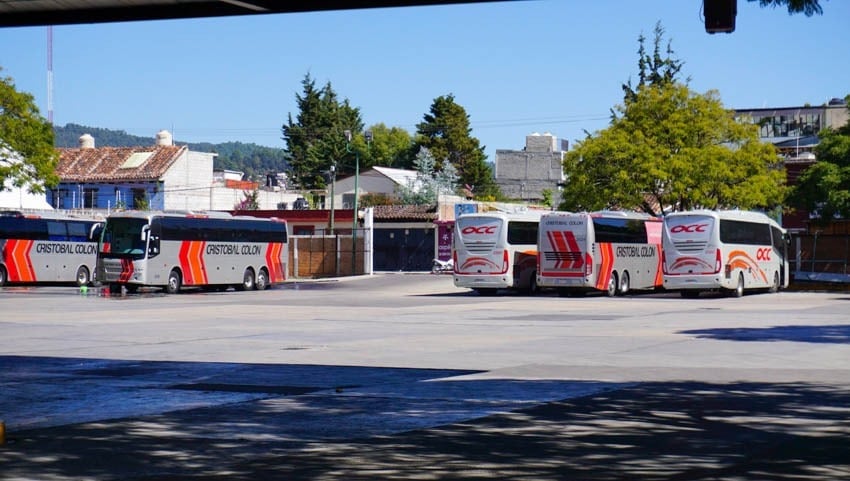 ADO and OCC buses parked at the bus station in Chiapas, Mexico