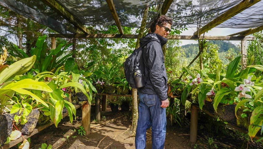 Orchid Garden at Lago Pojoj in Lagunas de Montebello Chiapas