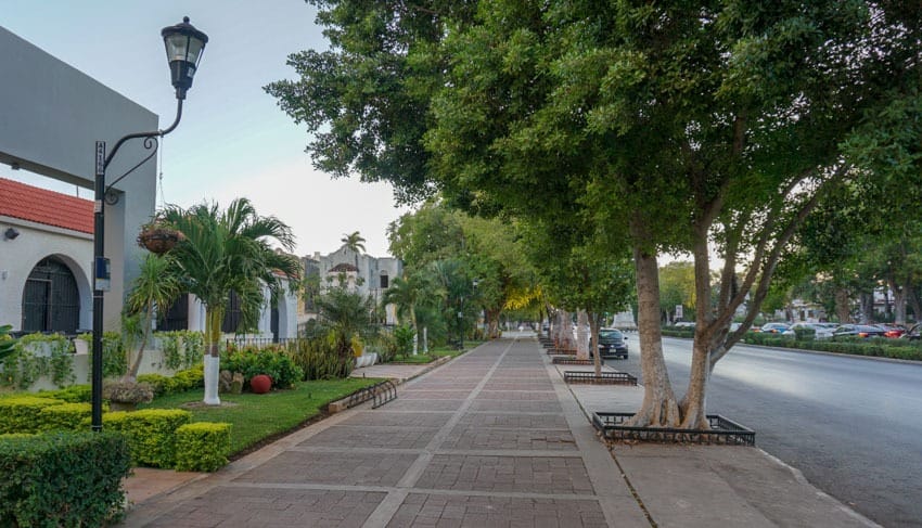 The wide widewalks at Pasejo de Montejo