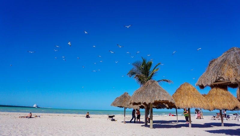 Some of the many palapas at Progreso Beach near Merida, Yucatan
