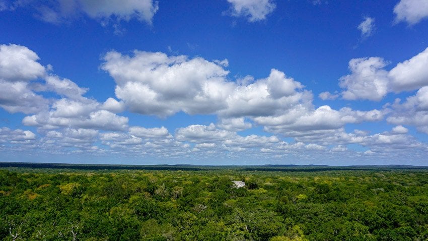 The view from the top of Structure 1