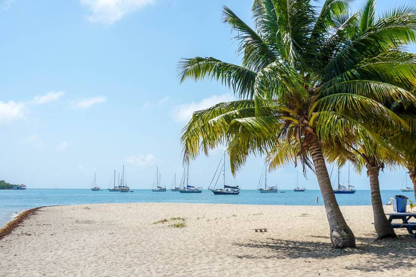 The view looking out from the beach with a palm tree and sail boats in the background in Placencia, Belize
