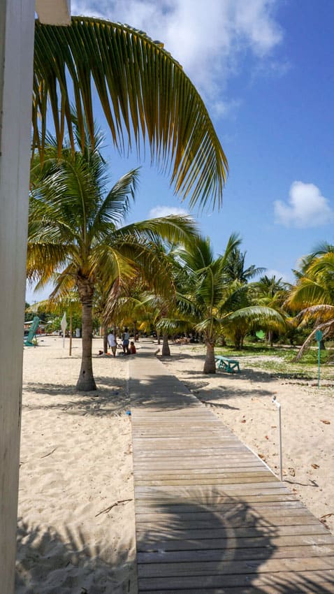 A view of the sidewalk near hotels in Placencia