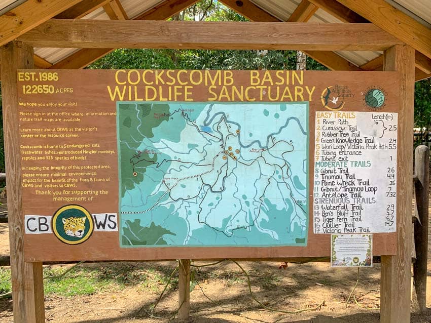 The trail map of Cockscomb Basin