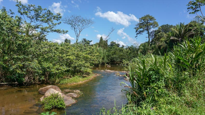 The river you can tube down in Cockscomb Basin near Placencia, Belize