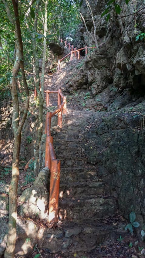 Some of the steep steps and guardrails in Cat Ba National Park