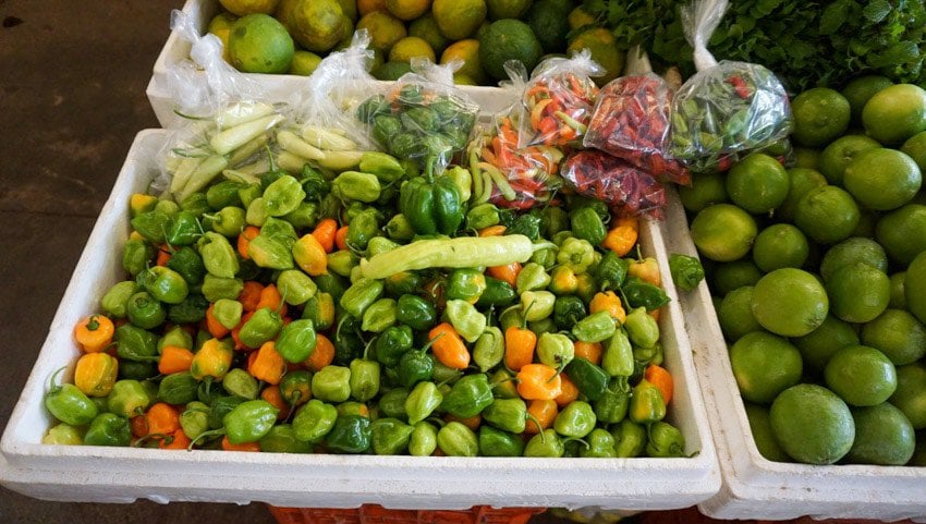 Chile Habanero in Mexico