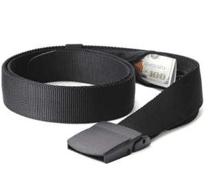 money travel belt