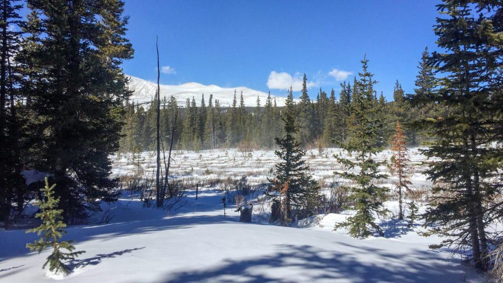 Packing List for Winter Travel