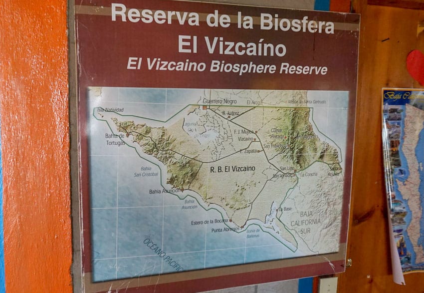 A photo of the massive Reserve Biosphere El Vizcaino in Baja, Mexico