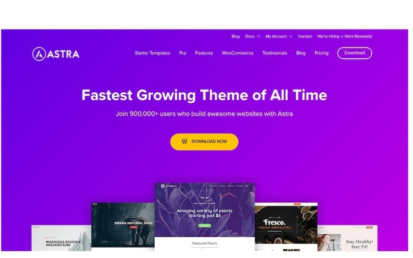 Astra WordPress Theme
