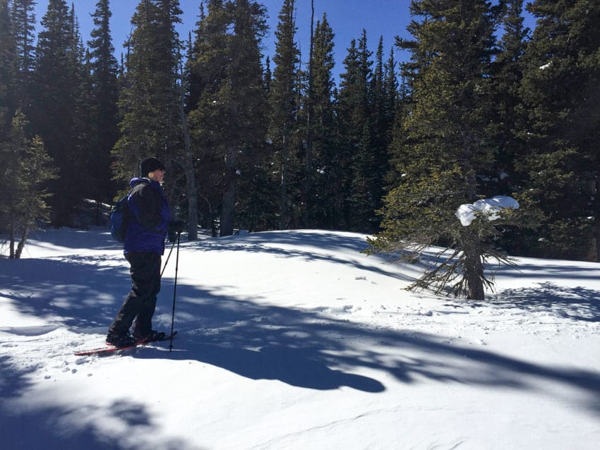 Snowshoeing through the forest