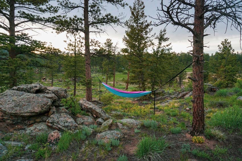 hammock hanging from trees