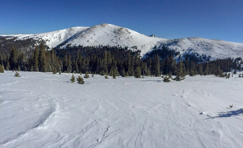 A wide open field, perfect for snowshoeing in