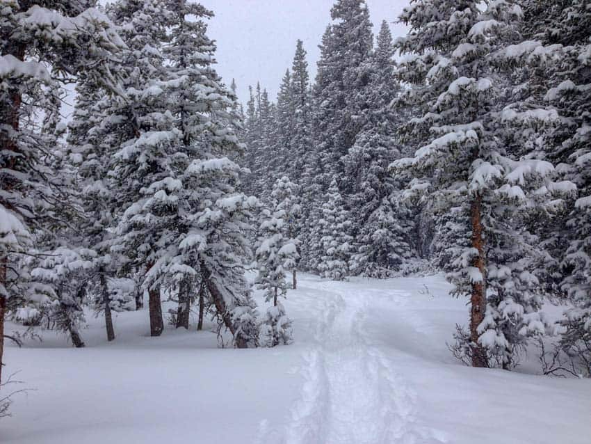 A powdery trail after a decent snowstorm
