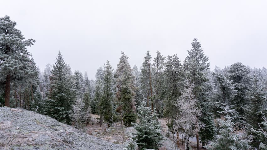 A cold, snowy morning in Colorado