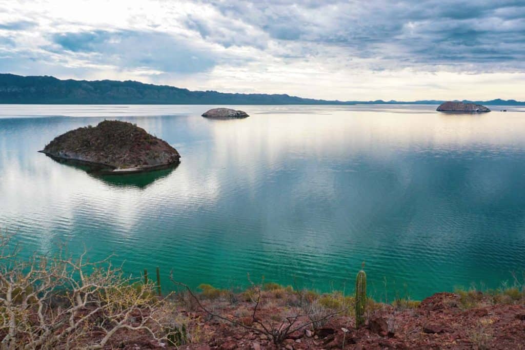 islands in bay with cactus on shore