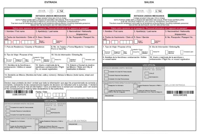 This is what an FMM appliaction looks like and only takes a few minutes to fill out before your Baja trip