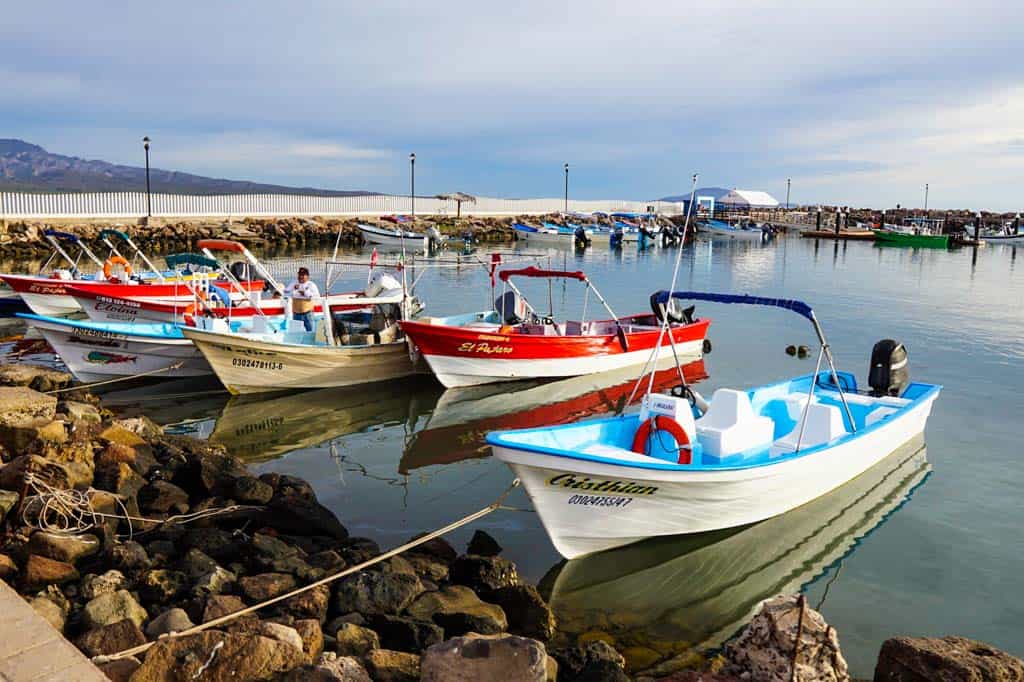 Boats on the Sea of Cortez