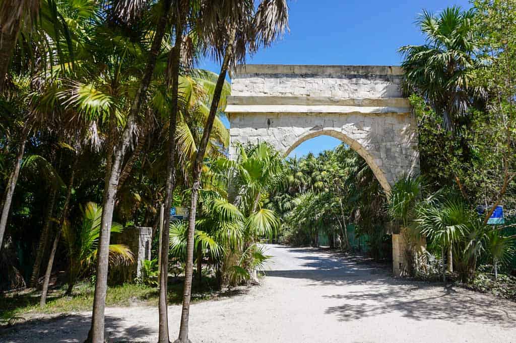 A dirt road in Sian Kaan near Tulum, Mexico