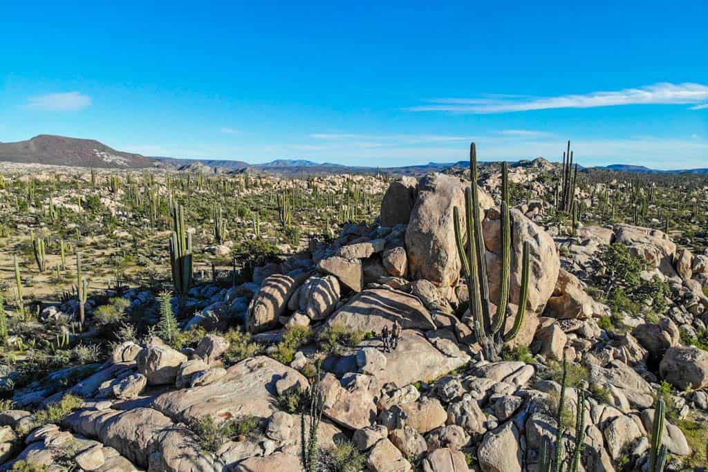 couple standing on giant boulder in Baja California desert