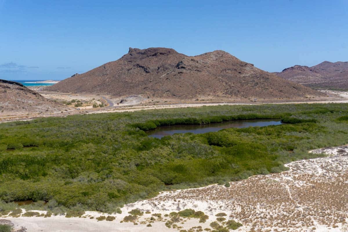 Mangrove lagoon in Balandra Bay, Mexico