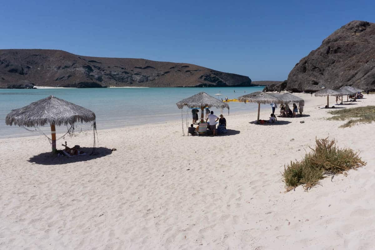A row of palapas on the sand in Balandra Beach in Mexico