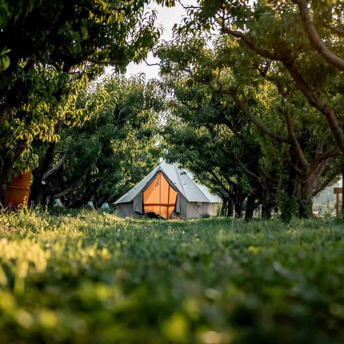 The WhiteDuck Regatta Canvas Tent in the forest with a light inside