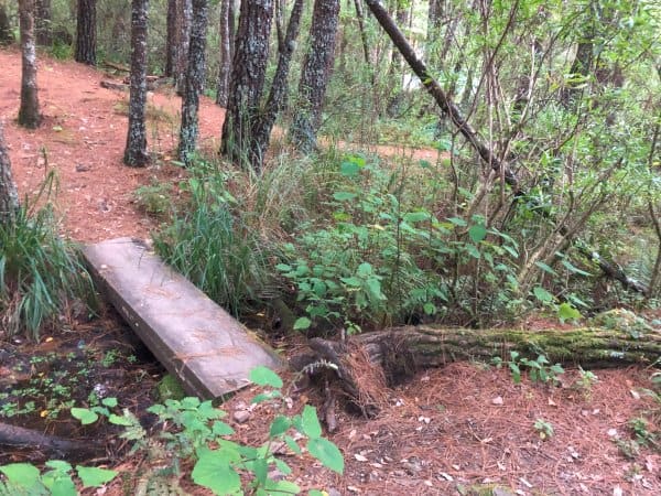 A little bridge over a stream near the base of the cabin area at Ecotourism Park at Santa Catarina Ixtepeji Oaxaca